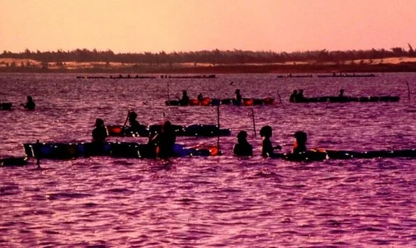 Розовое озеро Сенегала